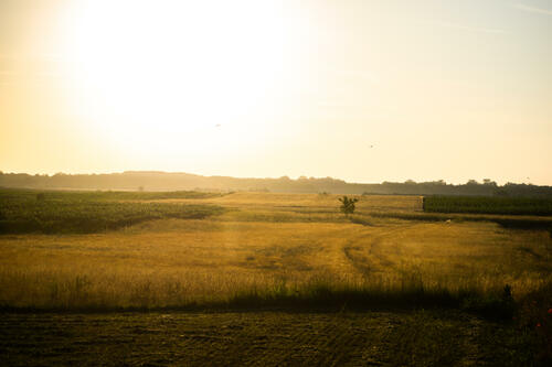 Sunrise over fields